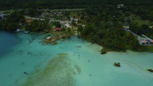 Bacalar