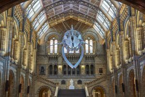 BRITISH MUSEUM