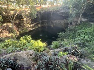 cenote zaci